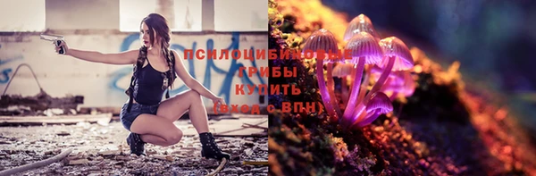 гидра Богородск