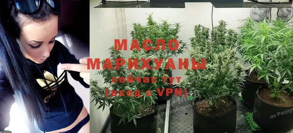 гидра Богородск