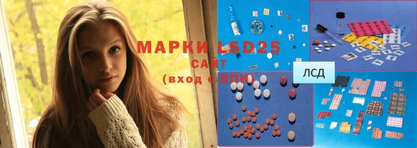 гидра Богородск