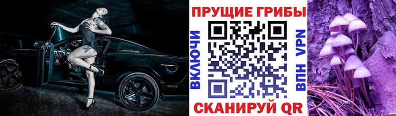 Псилоцибиновые грибы MAGIC MUSHROOMS  Кораблино 